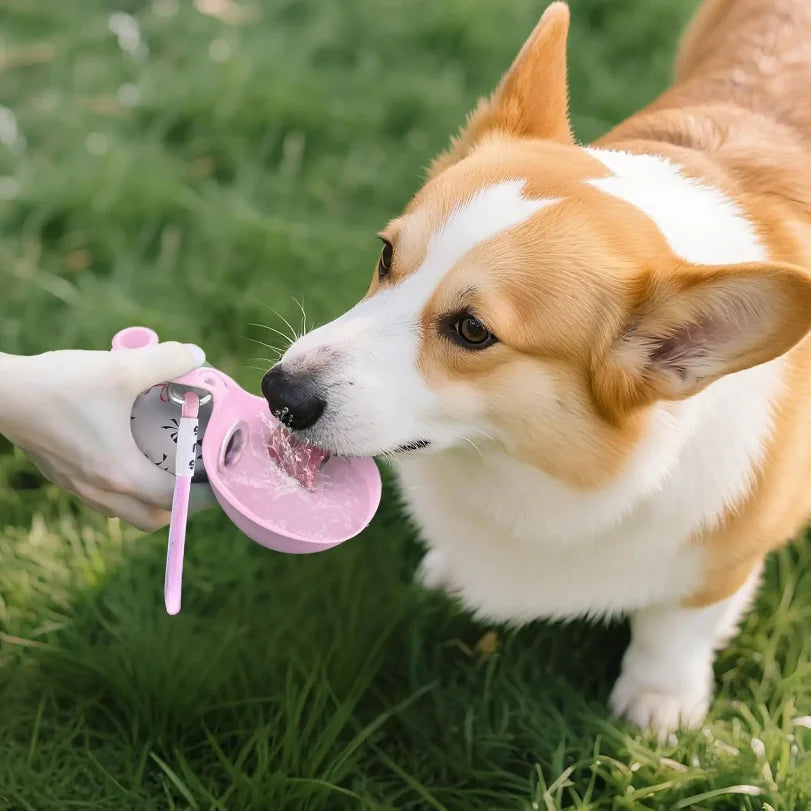 Tragbare Hundetrinkflasche mit Napf